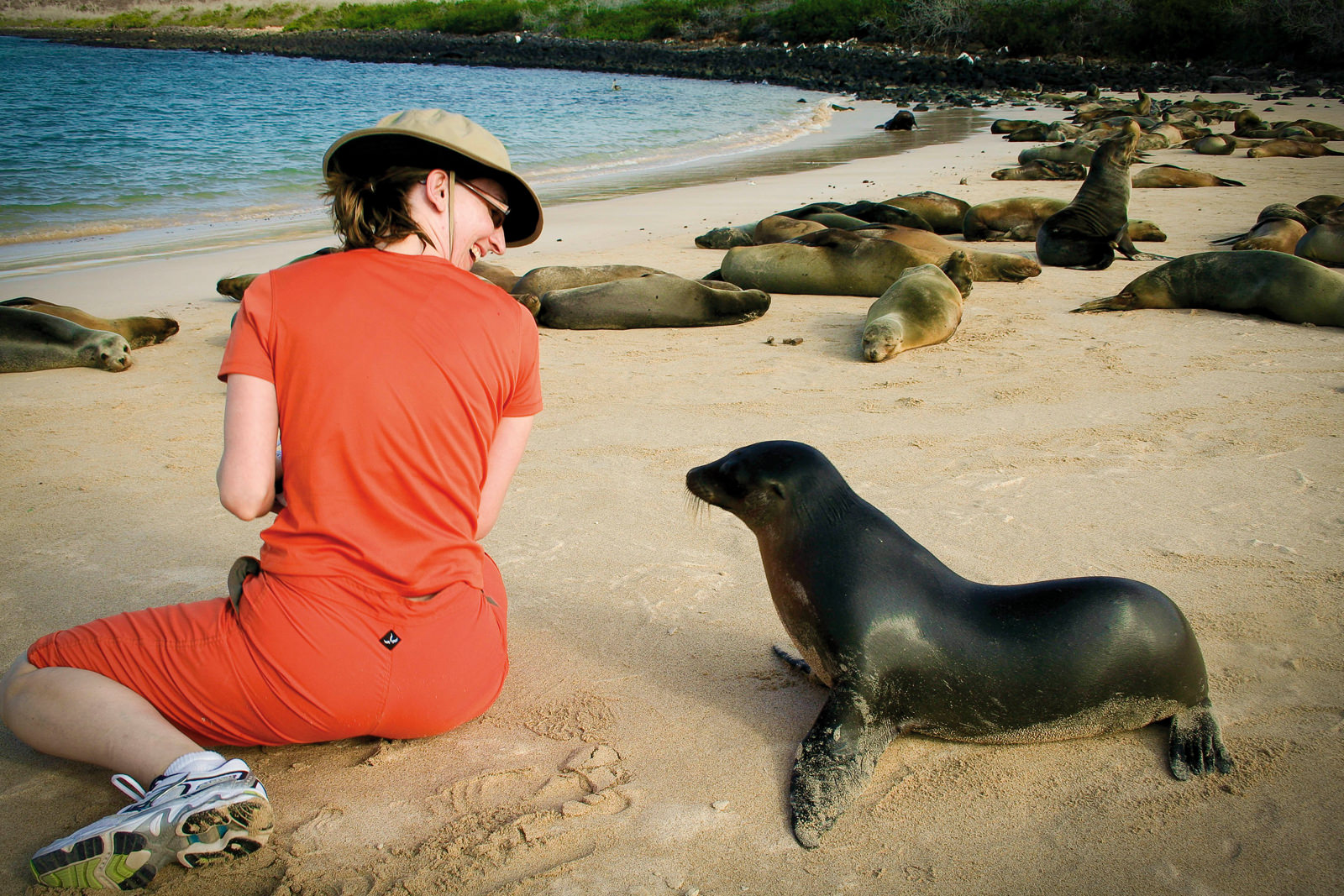 /uploaded-files/galapagos/galapagos-kayaking-trips-sea-lion-pup-kayaker.jpg